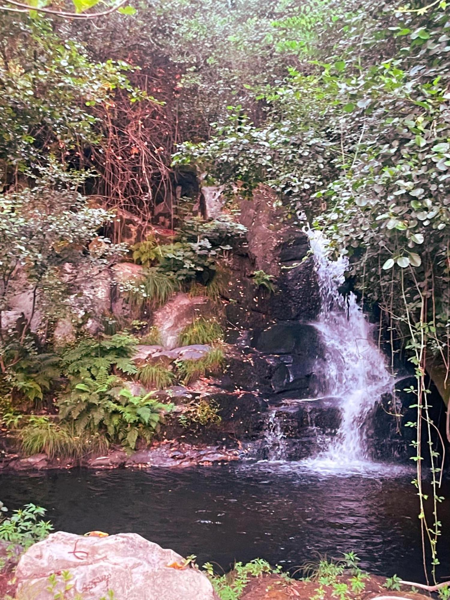 Nascente, Place In Nature Next To A Waterfall Loureiro  Eksteriør billede